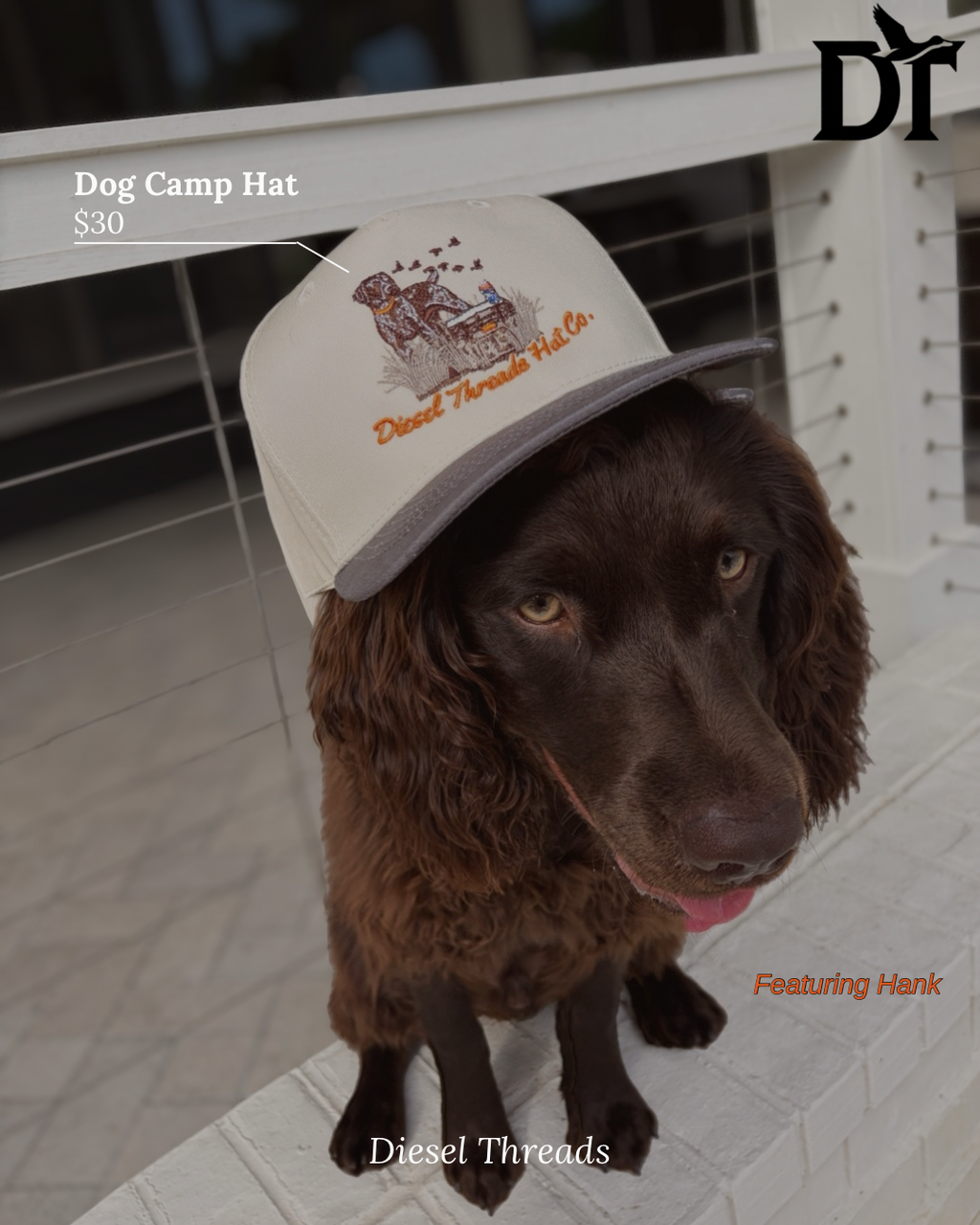 “Dog Camp” Hat