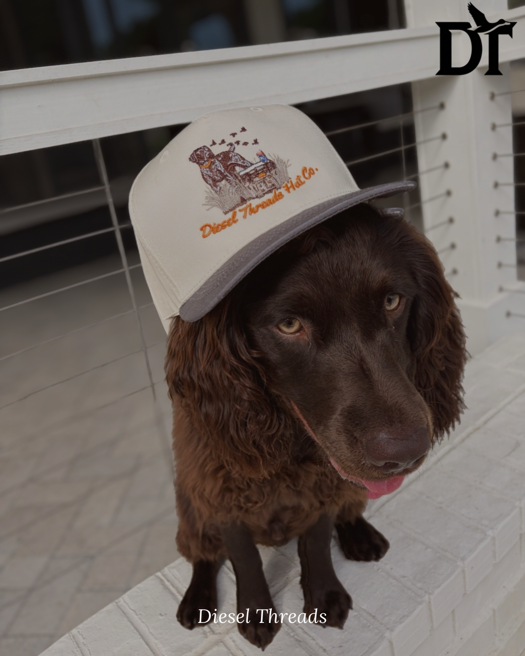 “Dog Camp” Hat